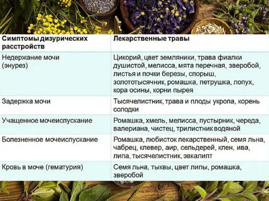 Недержание мочи у мужчин лечение народными