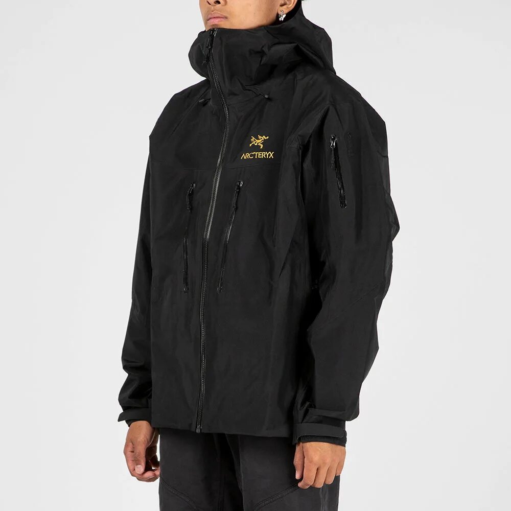 Arcteryx Alpha SV. Arcteryx Alpha SV Black. Ветровка Arcteryx Alpha SV. Куртка Arcteryx Alpha SV. Alphas sv