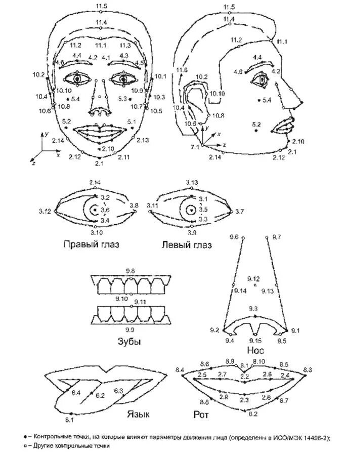 Контрольные точки человека. Основные болевые точки человека. Контрольные точки лица. Контрольная точка рисунок. Болевые точки на ногах человека.