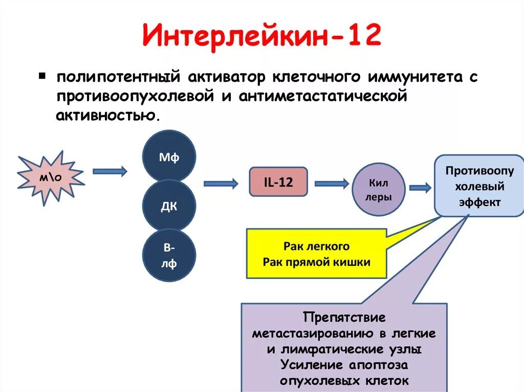 Интерлейкин 1 и 2. Интерлейкин 6 эффекты. Интерлейкин 6 иммунная реакция. Il 12 иммунология. Активаторы активности