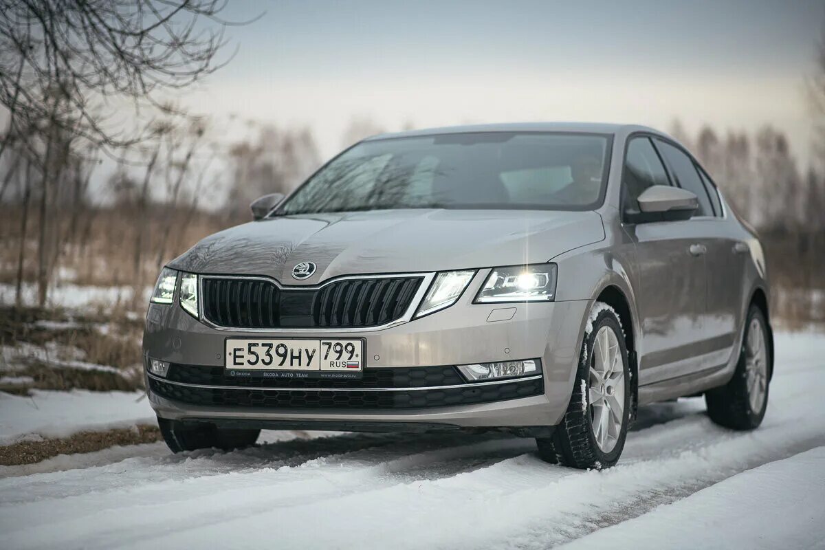 Обзор skoda. Шкода Октавия 19. Шкода Октавия 19 года. Skoda Octavia 19tdi. Шкода Октавия 18 года.