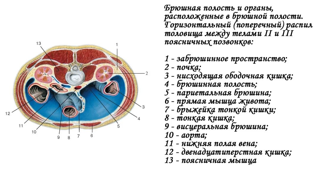 Срез отношения