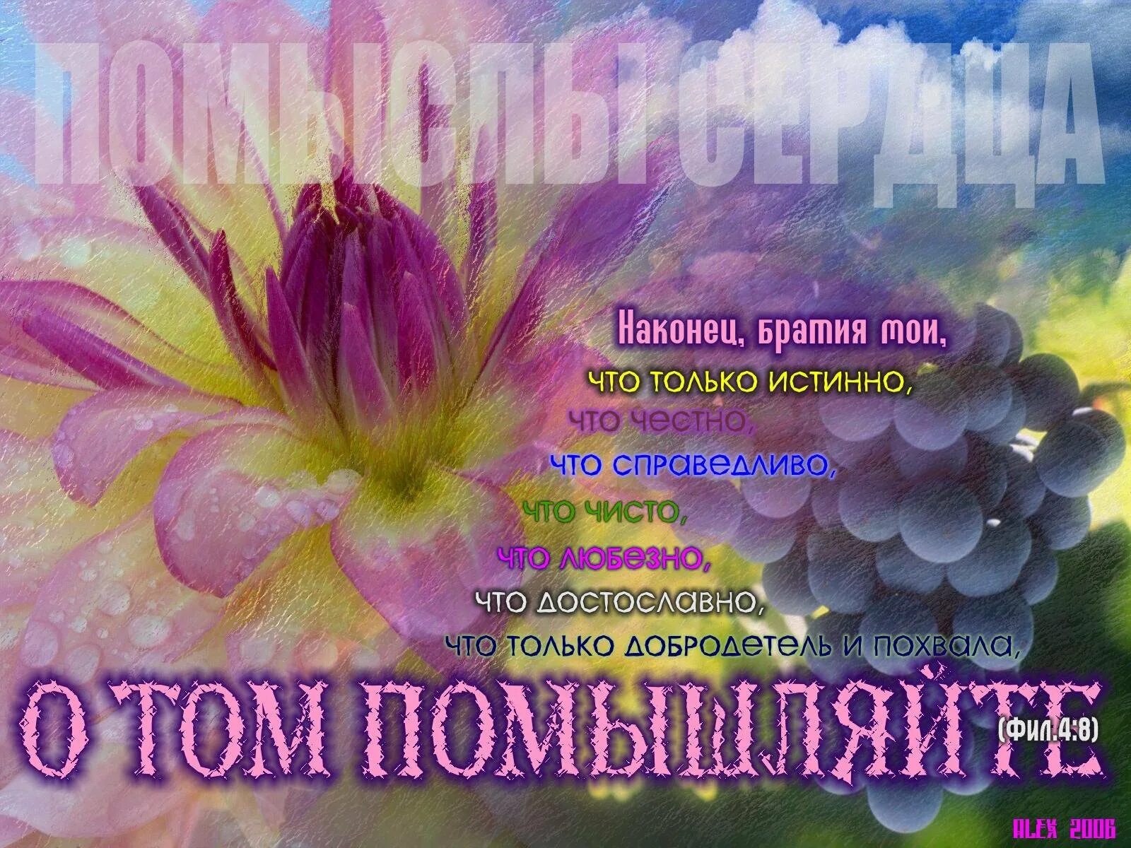 Хорошие христианские пожелания. Христианские пожелания. Открытки со стихами из Библии. Христианские пожелания на день. Пожелания из Библии.