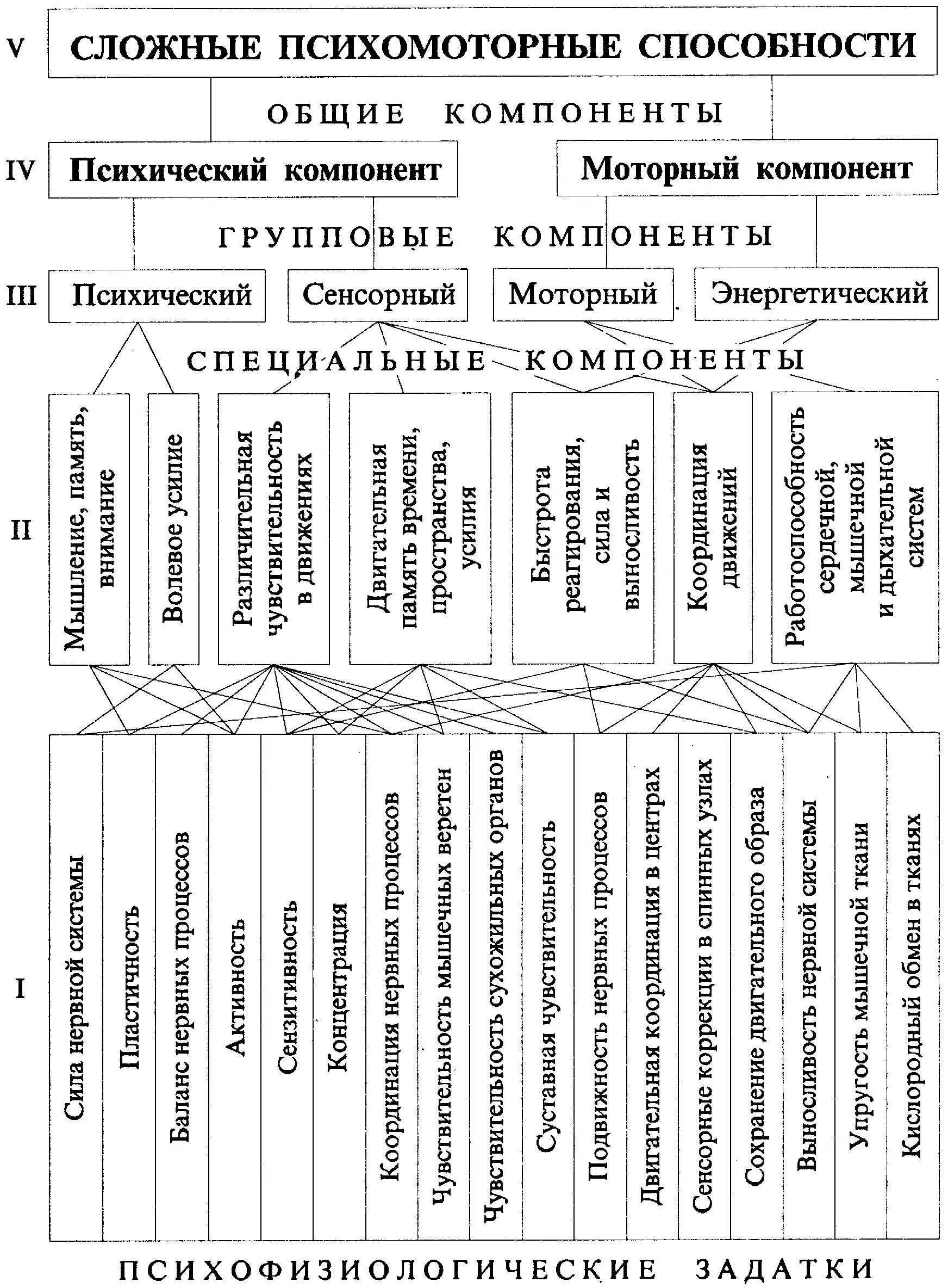 Психическое развитие схема. Психомоторика схема. психомоторные способности. психомоторные функции это. уровень психомоторного развития это.