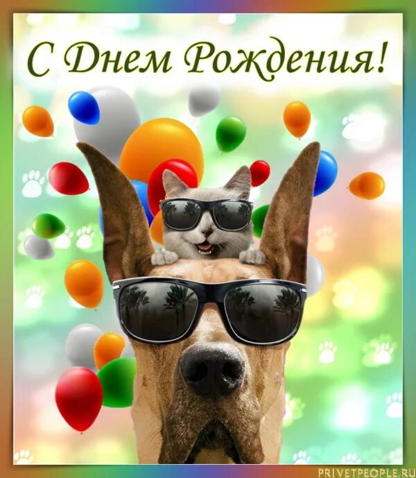 Веселые открытки с днем рождения. Детские открытки с днем рождения. Поздравления с днём рождения мальчику. Открытка с днём рождения миньоны. Веселые картинки с днем рождения мужчине.