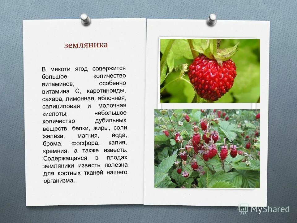 ягоды сбивающие температуру. малиновый чай. клюква и брусника. кисель из ягод. ягоды сбивающие температуру.