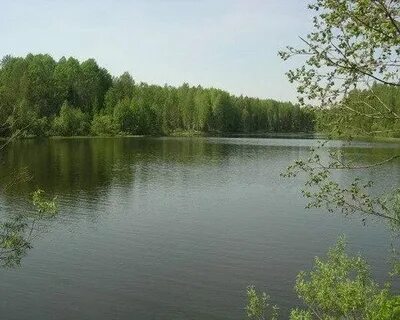 Погода омутнинск кировская область