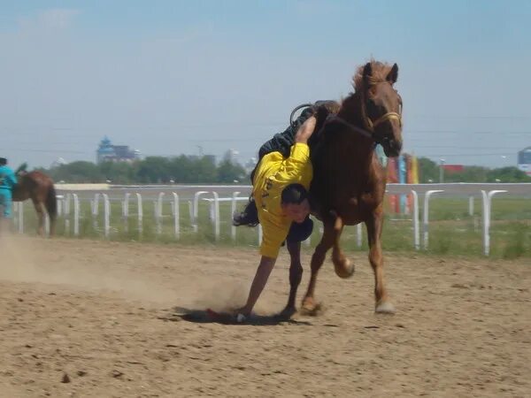 Национальная игра тенге алу. Кумис алу. Картинка Кумис алу.. Куме алу.