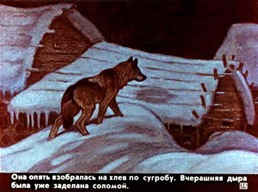 Павлович чехов белолобый. Иллюстрация к произведению Чехова белолобый. Чехов белолобый 3 класс. Волчиха белолобый.