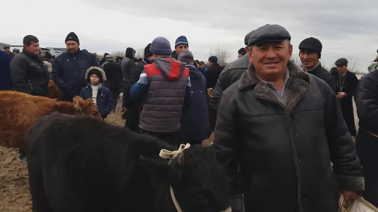 Кашкадарйо камаши. Кашкадарйо камаши. Кашкадарё чирокчи. Камаши узбекистан. Кашкадарё камаши тумани.