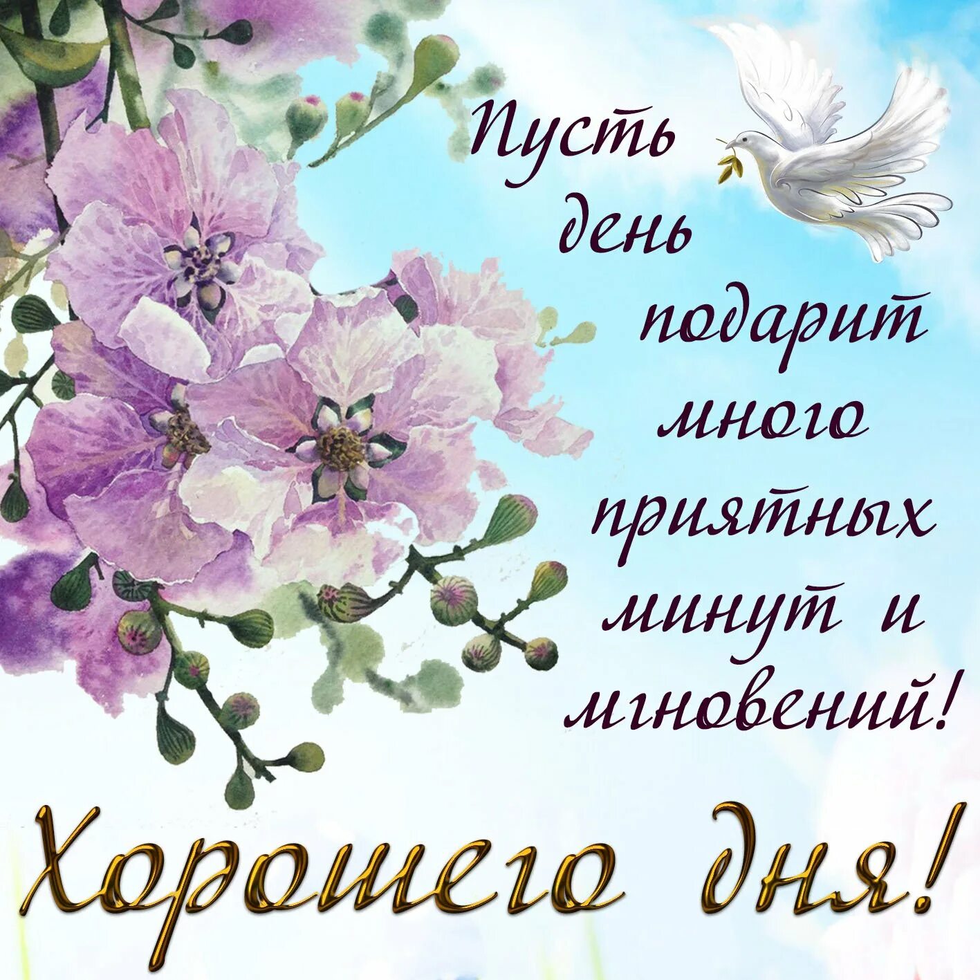 Доброго дня и хорошего настроения хорошему человеку. Открытки с добрым днём. хорошие пожелания. пожелания доброго дня. открытки с пожеланиями.