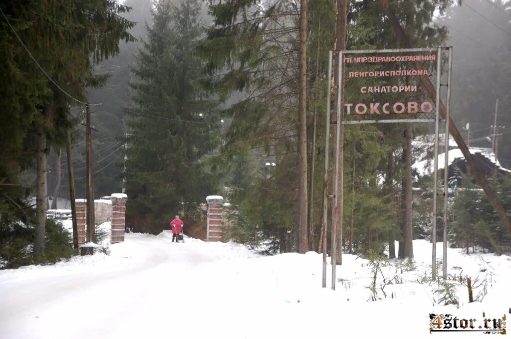 Погода на карте токсово. Погода токсово сегодня. Токсово ленинградская область. Бабья лужа токсово озеро. Зимний пейзаж фото токсово.