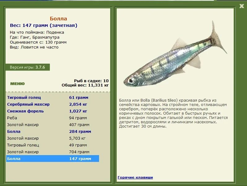 рыба семейства карповых 7 букв