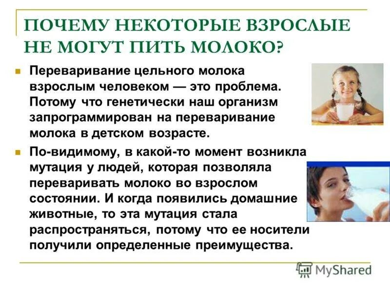 Пью молоко почему. Почему не могу пить молоко. почему люди пьют не молоко. почему некоторые. молоко переваривается.
