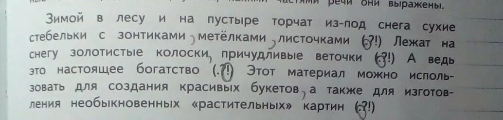 Зимой в лесу и на пустыре торчат из-под снега сухие. Однородные подлежащие 4 класс русский язык ВПР ответы. Текст про кролика с однородными подлежащими.