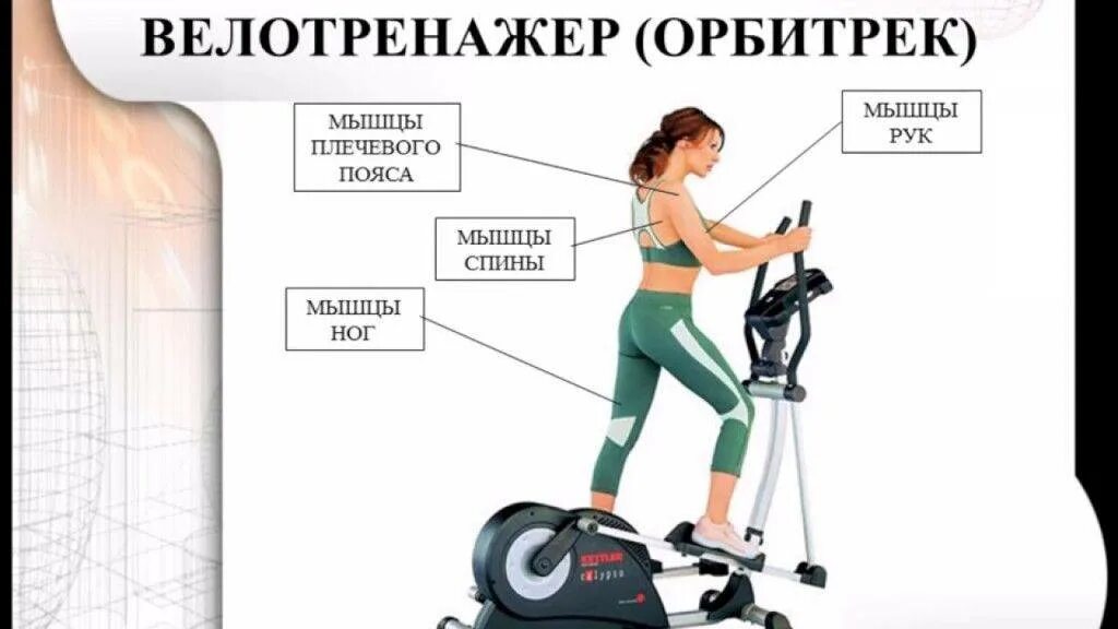 Эллипсоид мышцы какие. Эллиптический тренажер calypso. тренажер эллипс группы мышц. эллиптический тренажер мышцы. эллипсоид тренажер группы мышц.