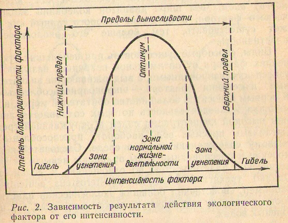 Диапазон выносливости это. Адаптогенные факторы. Зона нормальной жизнедеятельности организма. Схема действия экологического фактора без подписи. Количественная характеристика адаптогенного фактора.