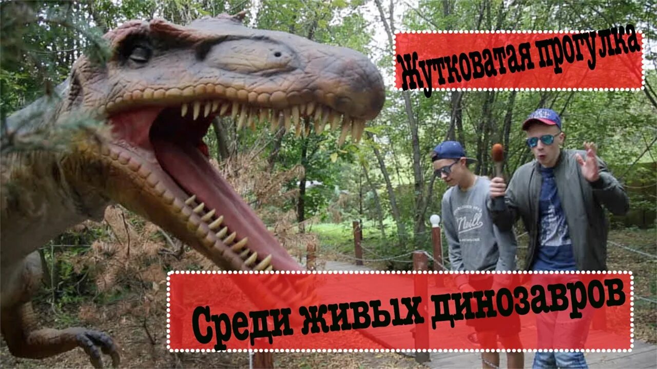 Увидеться в живую