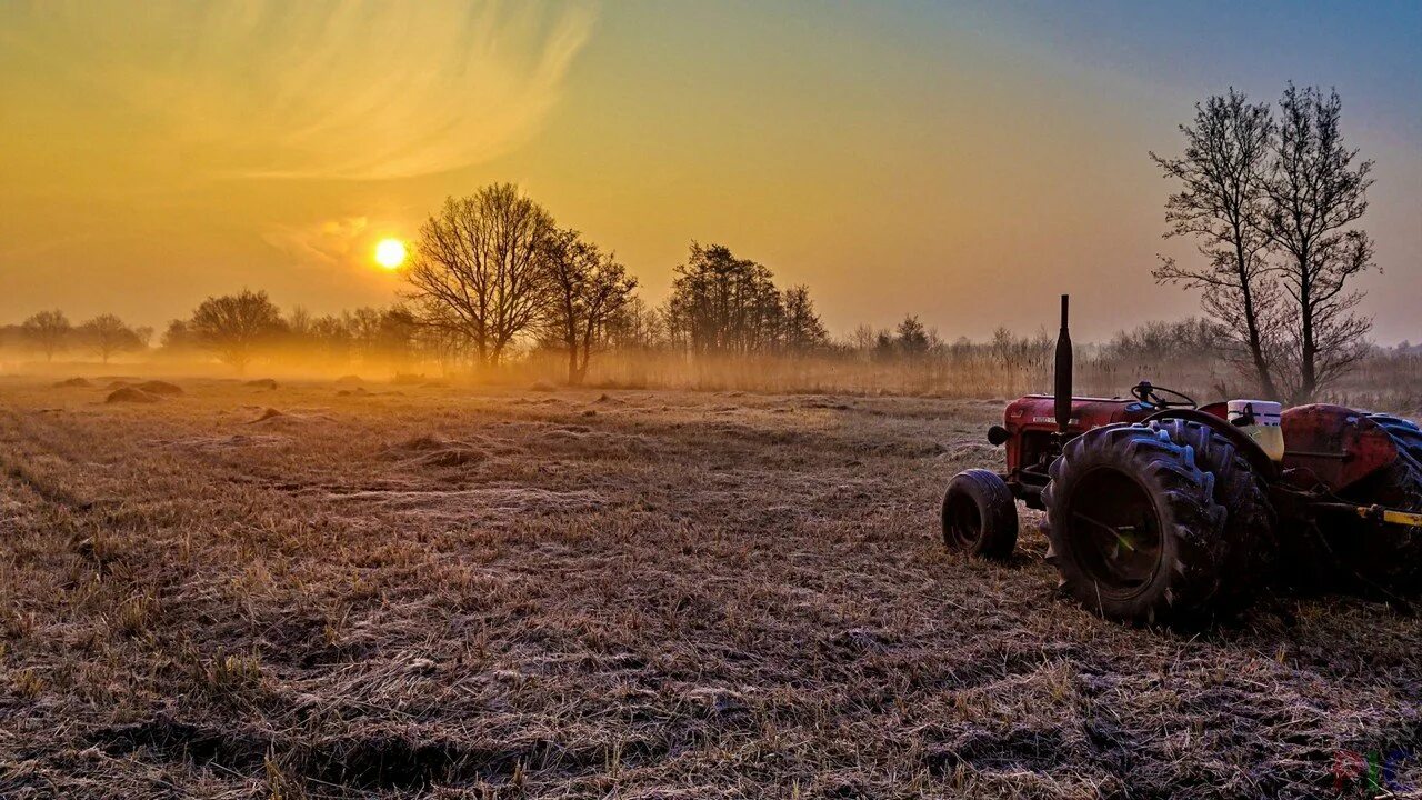 Трактор поле картинки. Трактор в поле. Сельхозтехника в поле. Трактор на закате. Трактор обои.