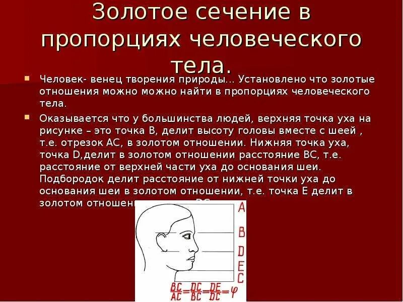 Отношение в золотом сечении. Золотое сечение. Золотое сечение презентация. Золотое сечение в быту человека. Золотое сечение пропорции.