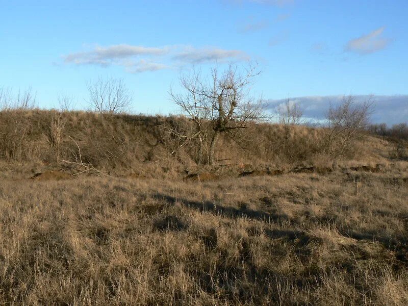 Песня погранзастава фото. Под константиновкой. Погранзастава песня. Полигон в константиновке пенза. Мастер оружейник пгу.