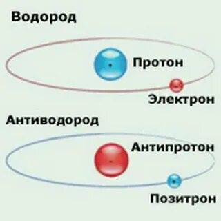 Собрат электрона и нейтрино