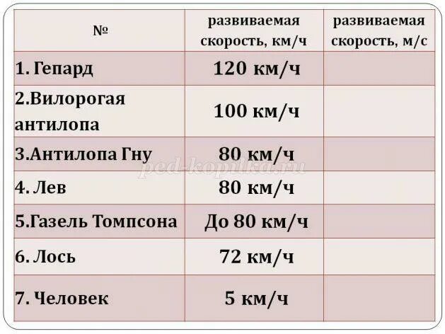 Чему равна скорость морскому узлу. Скорость 1 узел в километрах. Скорость 20 узлов в километрах в час. Скорость в узлах перевести в километры. Скорость одного узла в километрах в час.