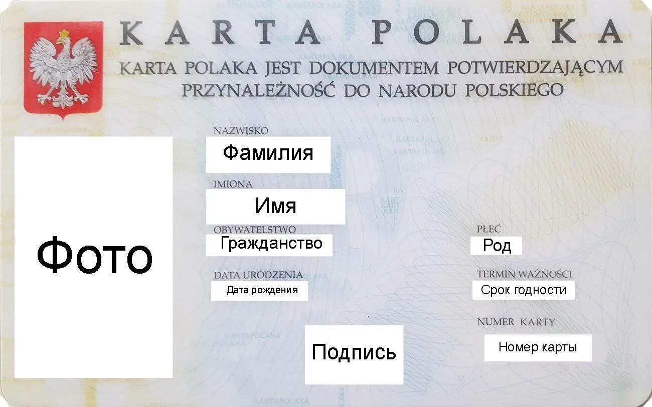 Как получить карту поляка. Карта поляка. как выглядит карта поляка. карта поляка для россиян. документы для карты поляка.