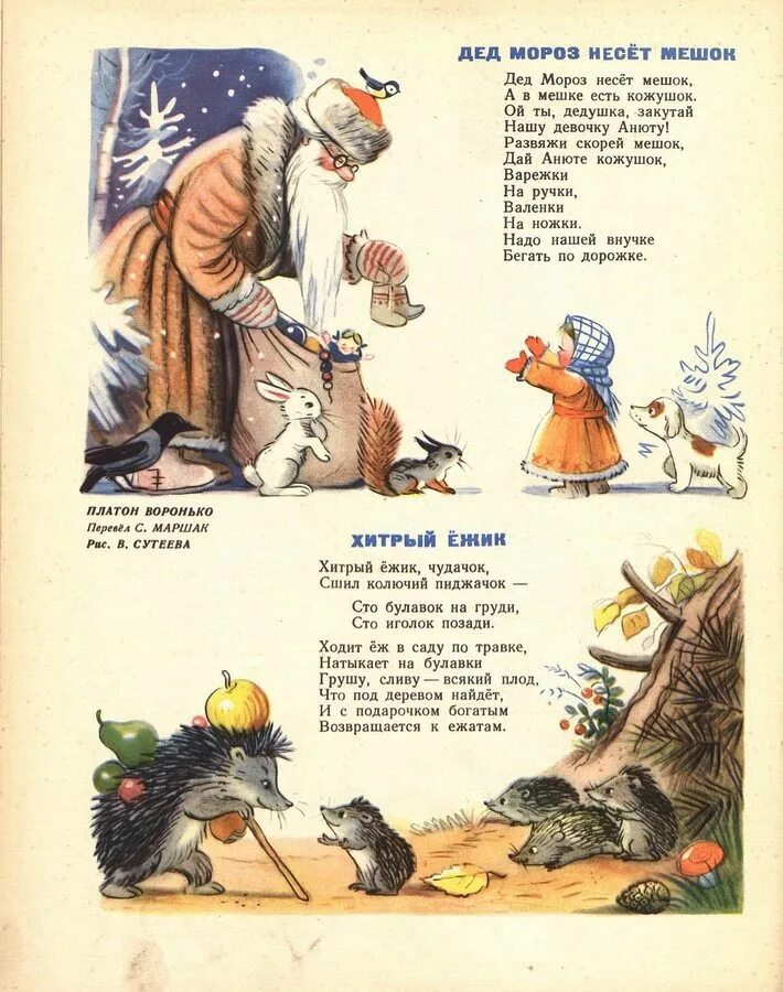 Маршак еж