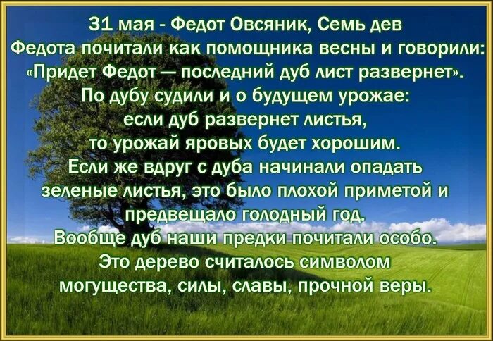 31 Мая народный календарь. Федот Овсяник 31 мая. Федот Овсяник, семь дев. Народный календарь: Федот Овсяник, семь дев. День федота