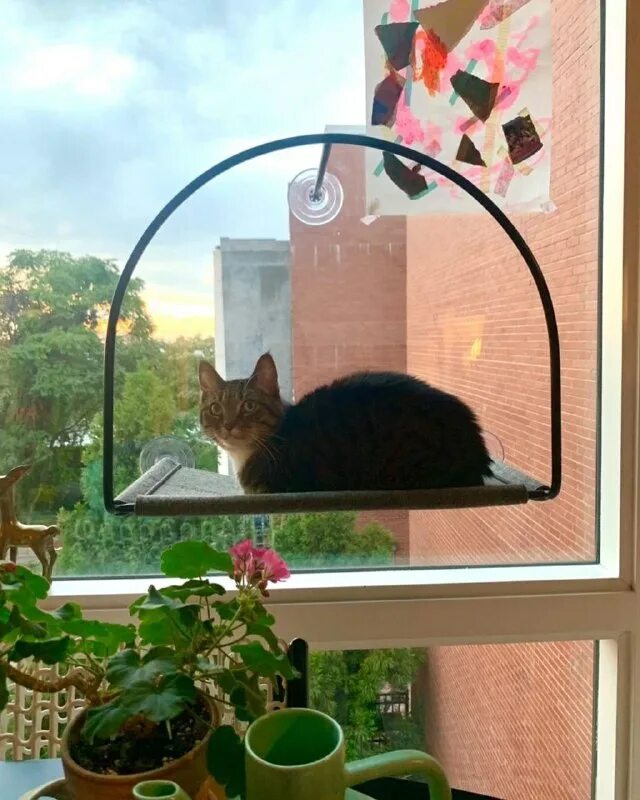 папка в архиве винд. скрытый чат в телеграмме. девушка у окна. как сделать тг в окне. идеал пласт окна.