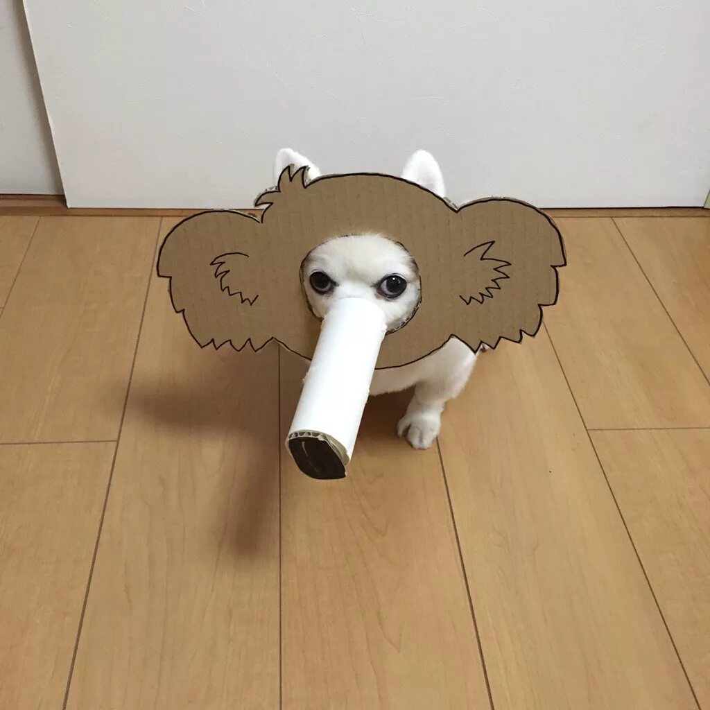 бумажные собаки. паттерн хаски. идеи для бумажных собак. бумажные игрушки для бумажных собак из тт. собачки из бумаги из тт.