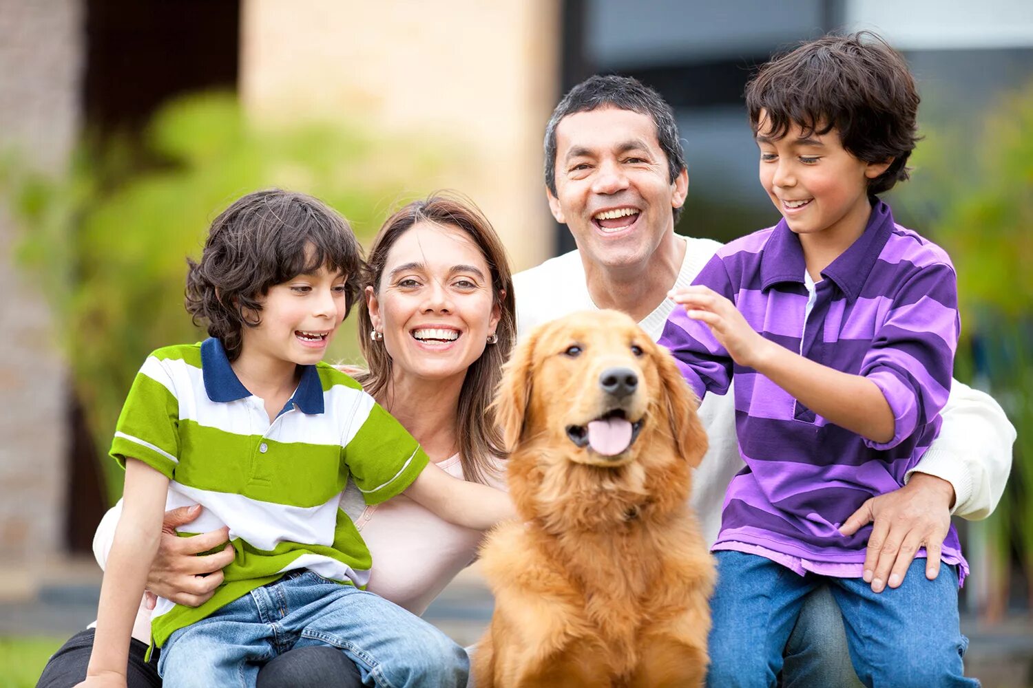 Включи friendly taga. Фотография семьи. Собаки для семьи с детьми. Собака для детей. Семья с собакой.