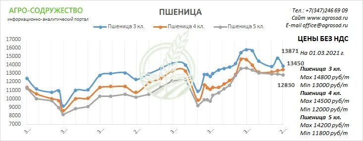 Экспорт зерна 2022. График цен на зерно. График цен на пшеницу. Экспорт зерна 2021 2022 год.