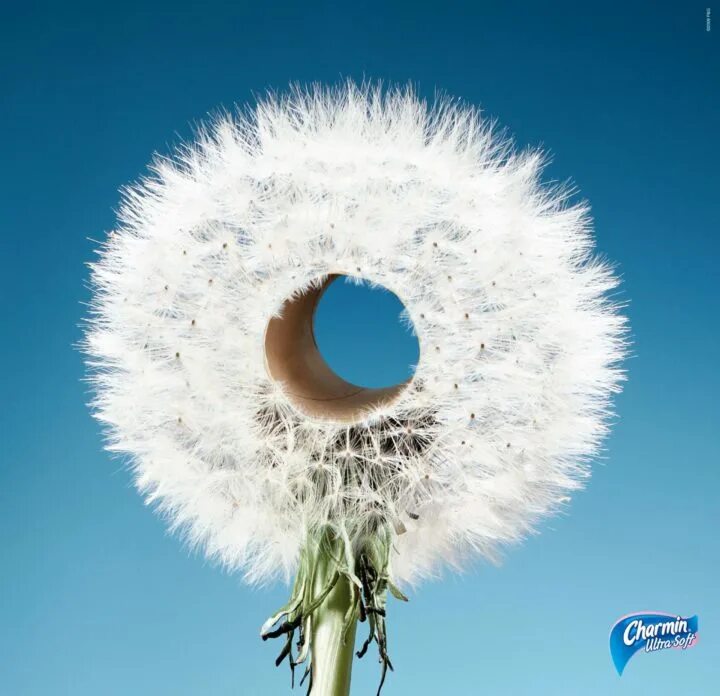 Туалетная бумага "камасутра". Креативная бумага. Шуточная туалетная бумага. Упаковка туалетной бумаги. Шуточная туалетная бумага.