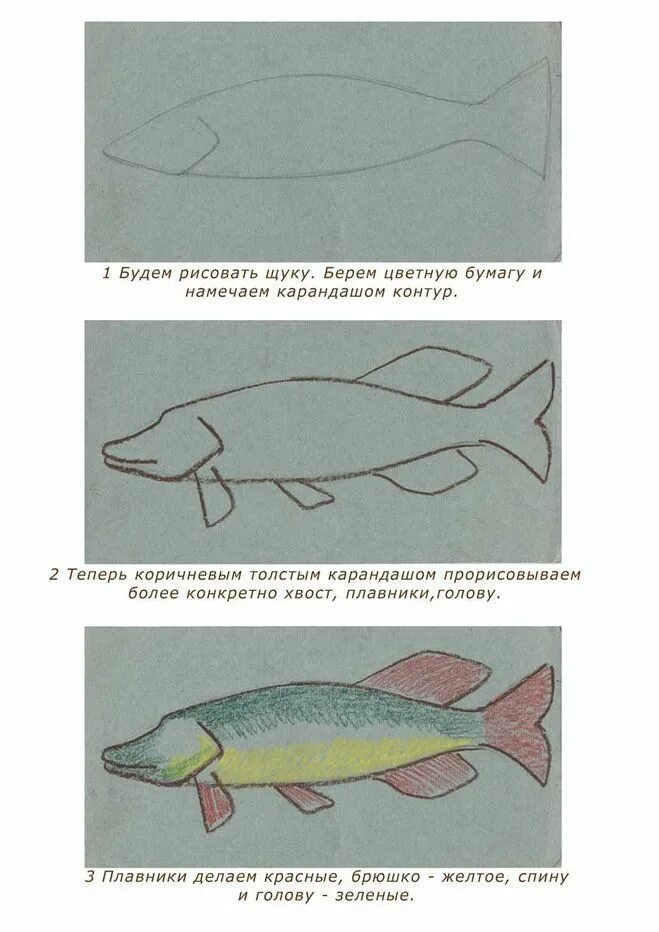 Щука рисунок пошагово. Как рисовать щуку. Поэтапное рисование щуки. КСК нарисовать щуку.