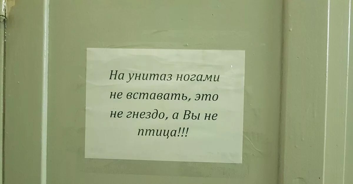 В общежитии запрещено. Туалет в студенческом общежитии. Объявление не вставать ногами на унитаз. Объявления в общежитии.