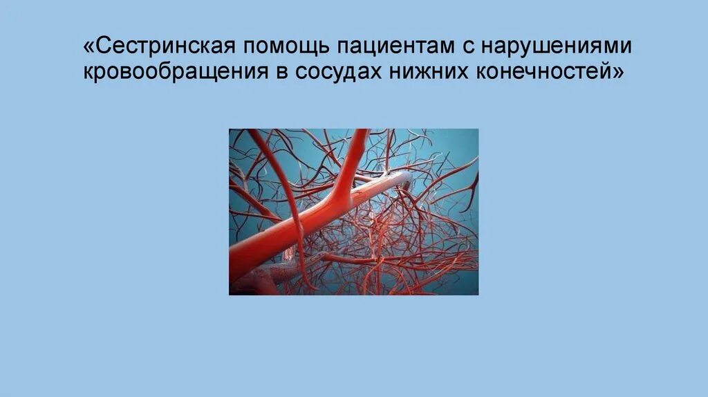 Нарушение кровообращения в сосудах. Заболевания при нарушении кровообращения нижних конечностей. Сестринский уход при заболеваниях органов кровообращения. Сестринское дело при заболеваниях органов кровообращения. Сестринская помощь при нарушении кровообращения нижних конечностей.