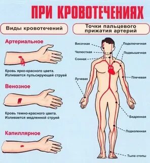 Причины кровотечения изо