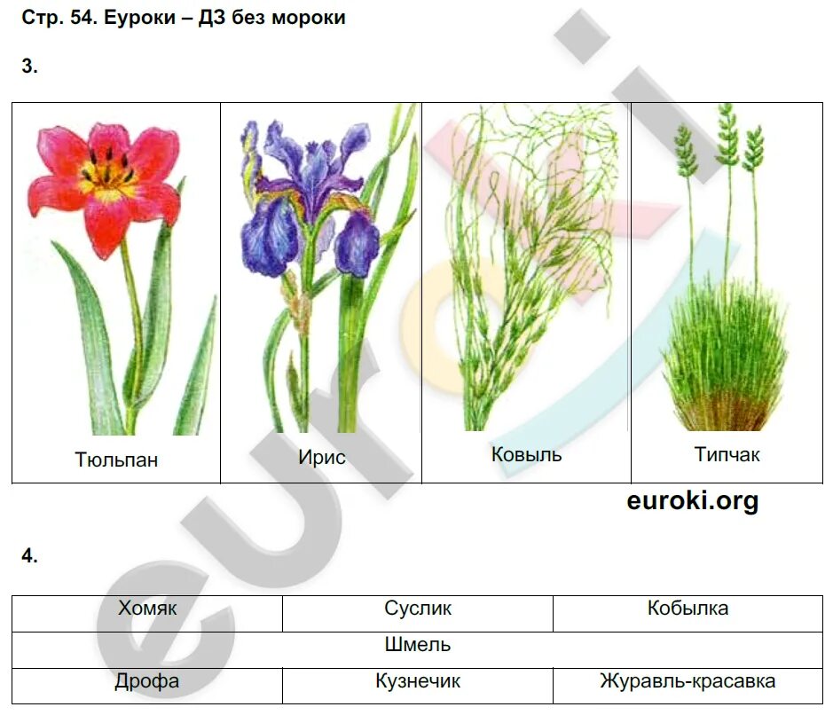 Окружающий мир страница 56 ответы. Гдз окружающий мир 4 класс рабочая тетрадь. Окружающий мир 4 класс рабочая тетрадь 2 часть стр 4. Окружающий мир 2 класс рабочая тетрадь 4странитца 2 часть. Окружающий мир 4 класс рабочая тетрадь 1 часть стр.