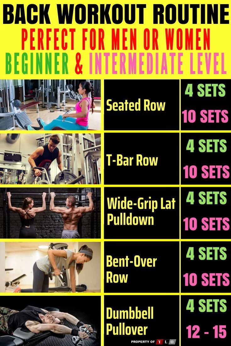 Workout Routine. Back Workout. Workout Routine for Beginners. Workout Routine Gym. Workout plan