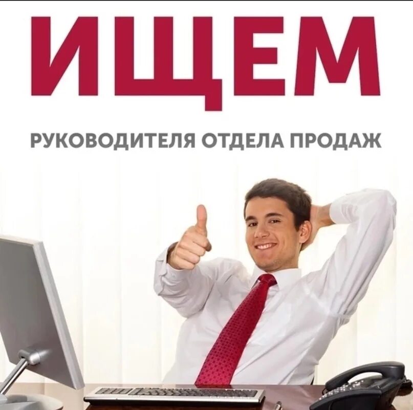 Руководитель отдела продаж. Начальник отдела продаж. Директор отдела продаж. Менеджер по продажам. Ищу сбыт