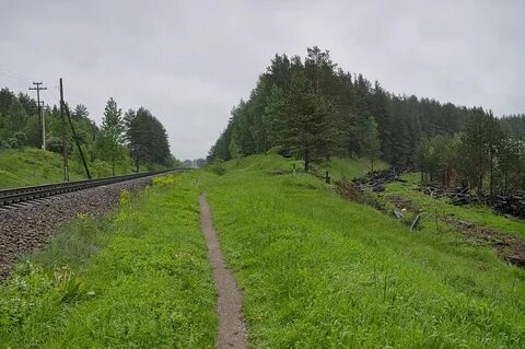 Погода в луге на ноябрь