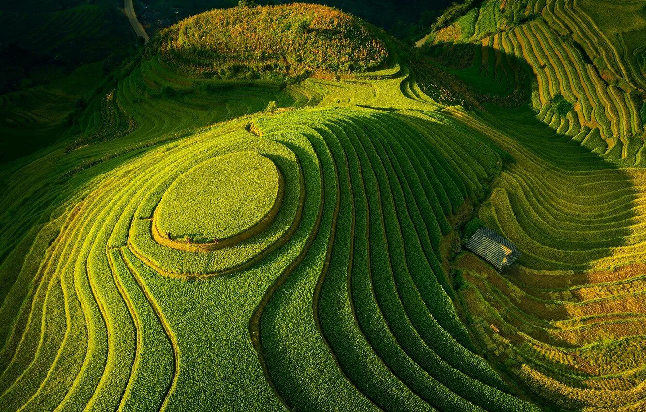 Виды плантаций. Чайные плантации Китая сверху. Вьетнам чайные плантации. Чайные плантации Керичо. Террасирование чайные плантации.