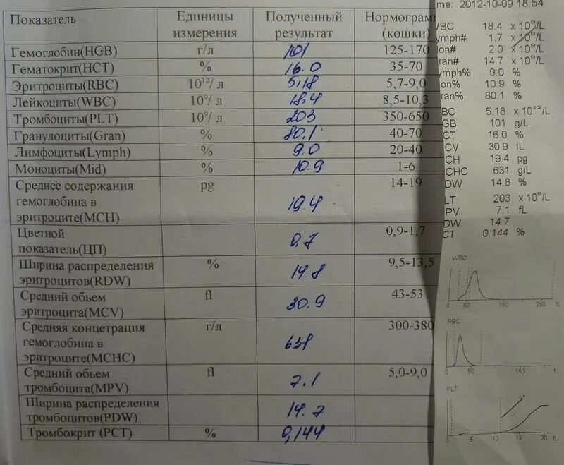 Тромбокрит что это значит у женщин. Тромбокрит. что такое тромбокрит в анализе крови. тромбокрит норма. тромбокрит показатели нормы.