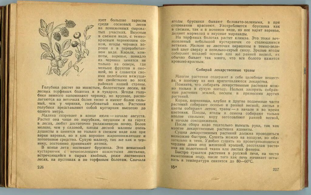 Книга пионерское лето 1952. Книга лето в Пионерском. Книги о пионерах. Лета пионера книга.