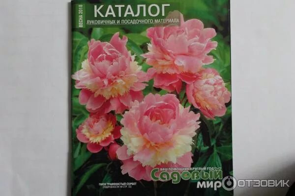 Семена-почтой интернет магазин. Садовый мир каталог. Интернет магазин садовый мир каталог на весну. Интернет магазин садовый мир каталог на весну. Каталог цветов садовый мир на весну.