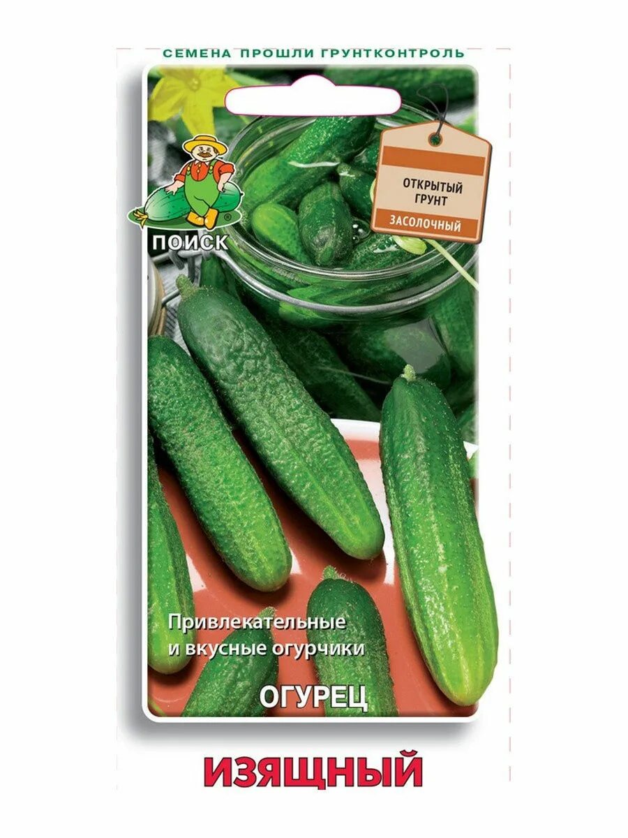 огурец изящный. огурец изящный фото. семена огурец изящный седек. огурец клавдия гавриш хит 3. семена гавриш огурец дальневосточный 27 0,5 г.