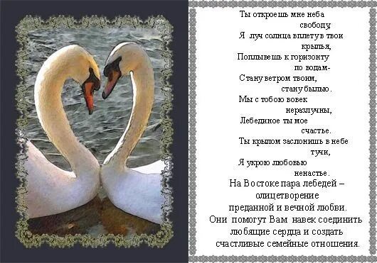 Стих лебеди. Лебединая верность стихи. Стихи о любви и верности. Лебединая любовь стихи. Стих на свадьбу про лебедей.