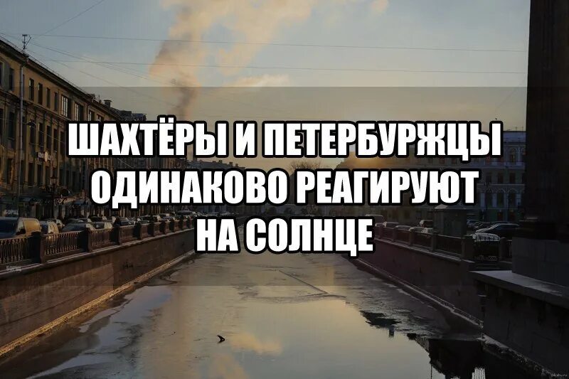 Солнце в Питере шутки. Недоверчивые петербуржцы. Питерцы или петербуржцы. Типичная петербурженка. Коренной житель петербурга